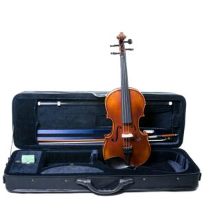 Violín Corina Sestetto